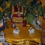Vraj-Yatra-2014- (2066)